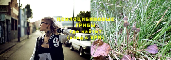 мескалин Богданович