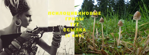 каннабис Богородицк