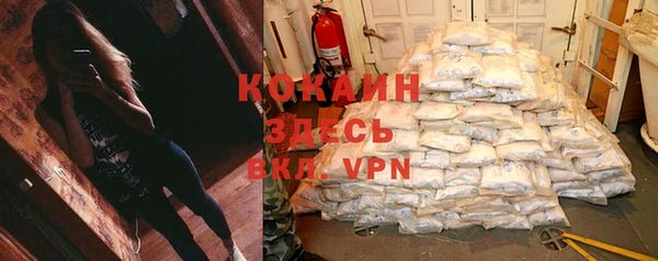 мескалин Богданович