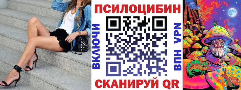 blacksprut ТОР  магазин продажи наркотиков  Кораблино  Галлюциногенные грибы Psilocybine cubensis 